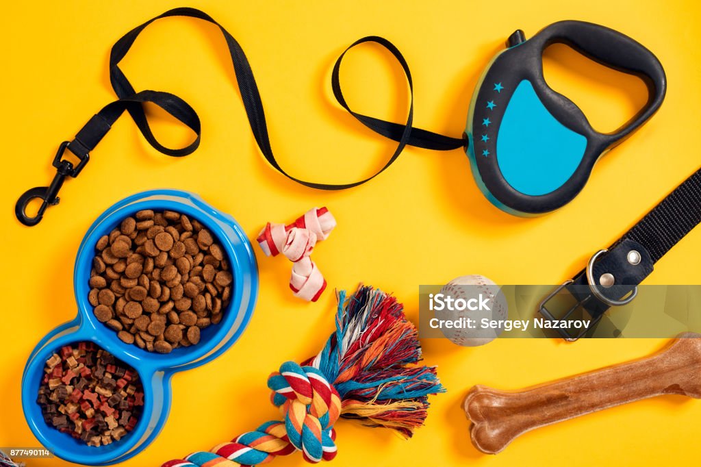 Accessori per animali